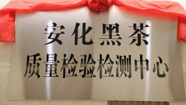 探寻理想华莱高质量发展的“科技密码”