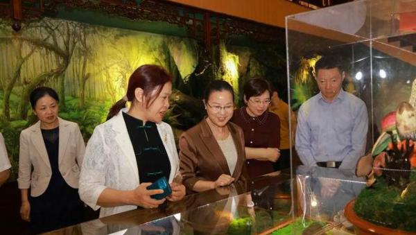 全国妇联妇女发展部副部长奉朝晖在安惠调研