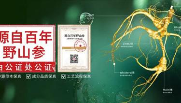 安然：人参不是老年人的专利 年轻人更需要吃