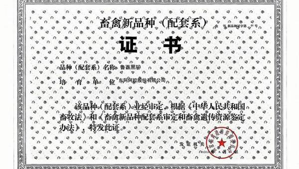 东阿阿胶牵头培育的鲁西黑驴获批畜禽新品种