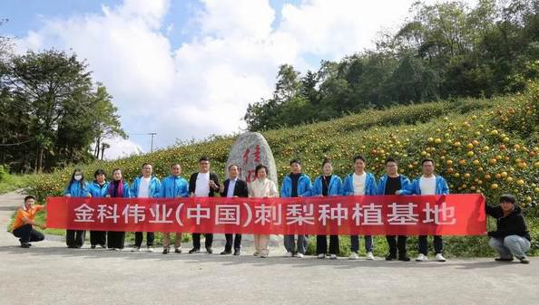金科伟业市场部赴贵州桐梓基地深度考察