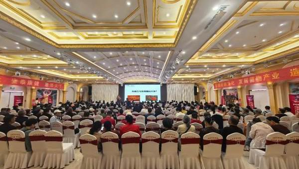 “健康中国 安惠在行动”石家庄站报告会举办